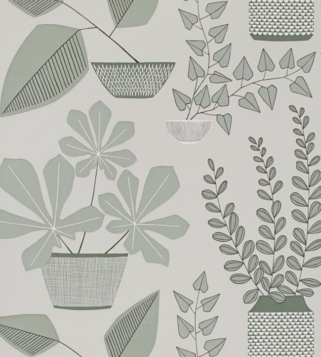 House Plants Wallpaper by MissPrint Brampton