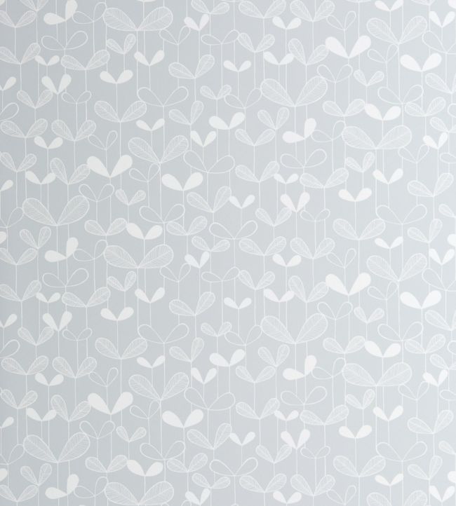 Saplings Wallpaper by MissPrint Cloud Grey