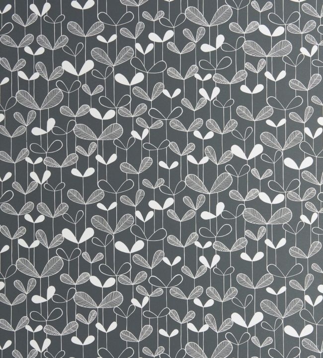 Saplings Wallpaper by MissPrint Graphite