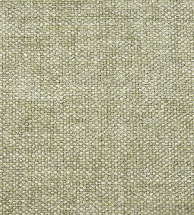 Moorbank Fabric by Sanderson Willow