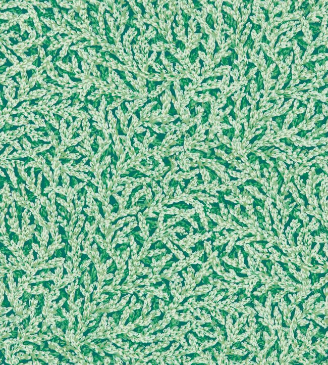 Nootka Wallpaper by Zoffany Poison
