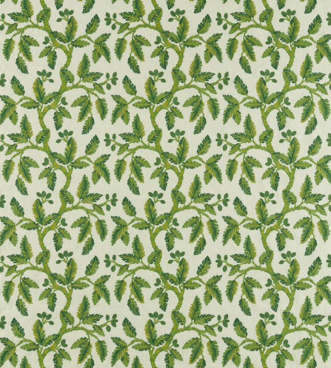 Oaknut Stripe Fabric by Sanderson Botanical Green