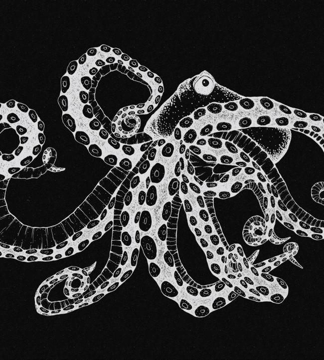 Octopus X-Ray Mural by Coordonne Black