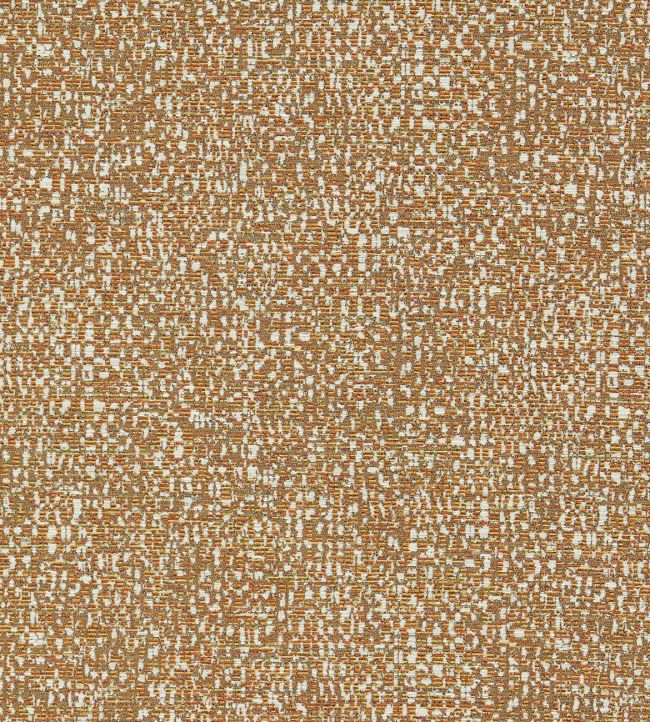 Orion Fabric by Clarke & Clarke Spice
