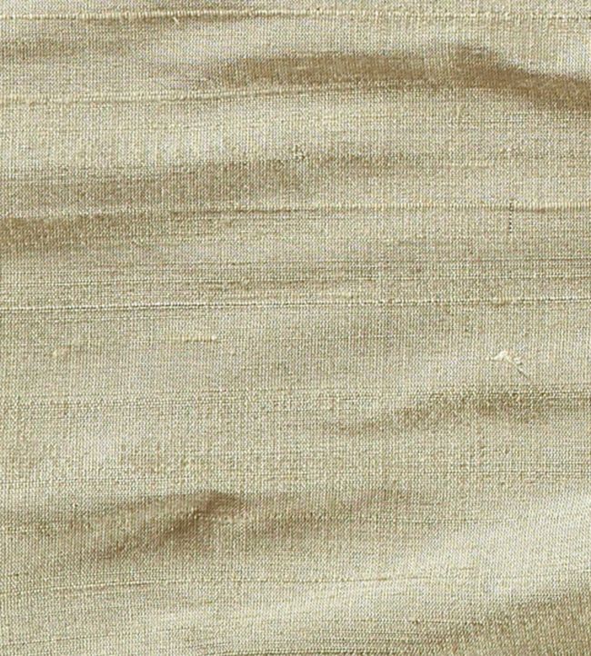 Orissa Silk Fabric by James Hare Acacia