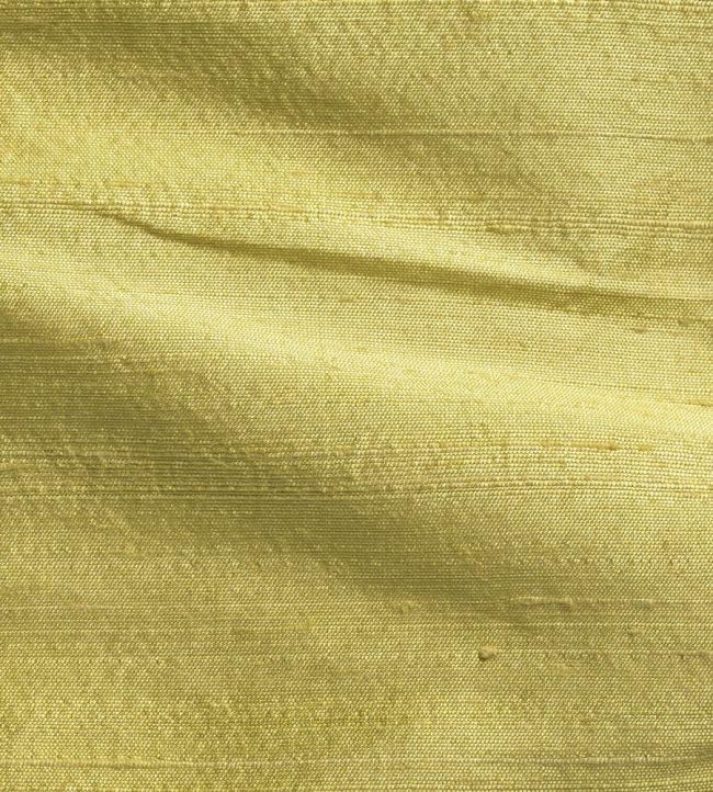 Orissa Silk Fabric by James Hare Apollo