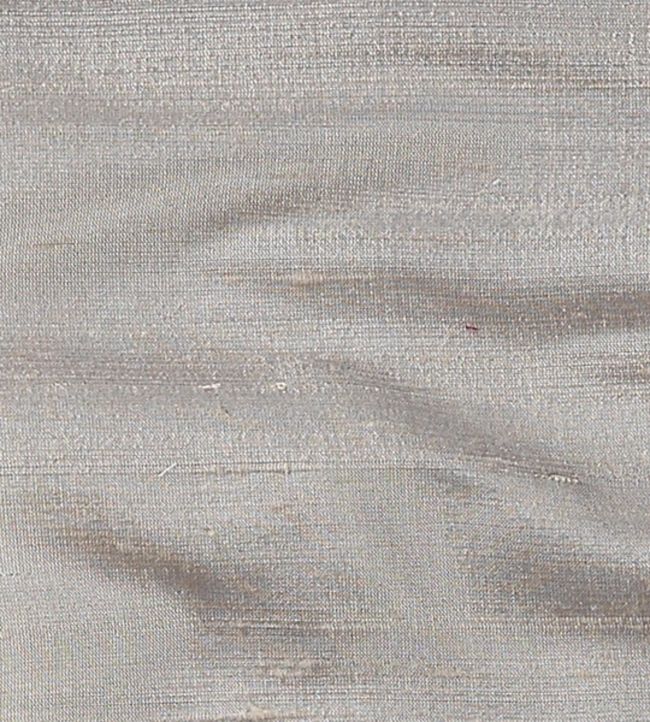 Orissa Silk Fabric by James Hare Chinchilla