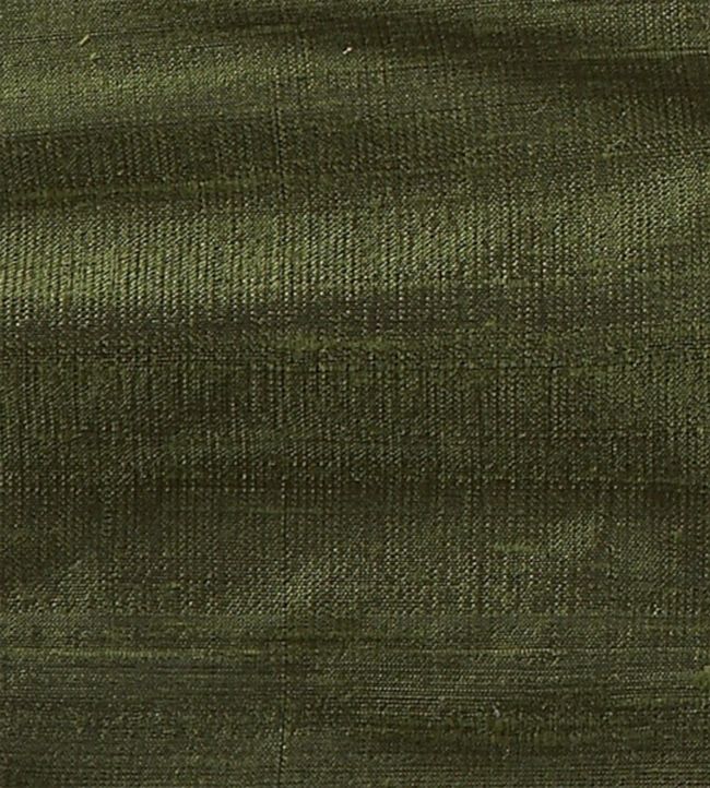 Orissa Silk Fabric by James Hare Forest Green