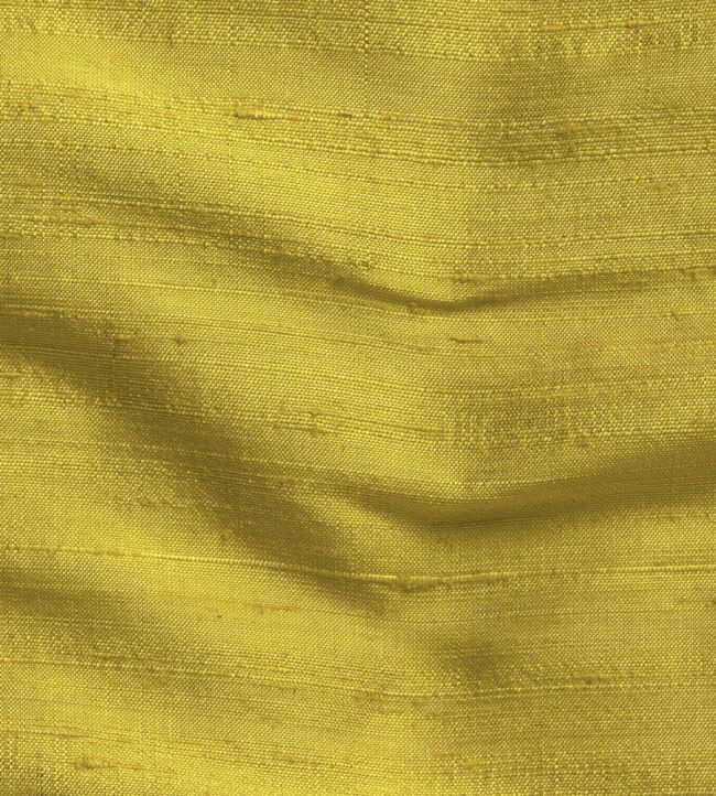 Orissa Silk Fabric by James Hare Goldfinch