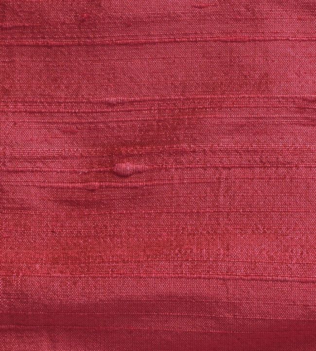 Orissa Silk Fabric by James Hare Renoir