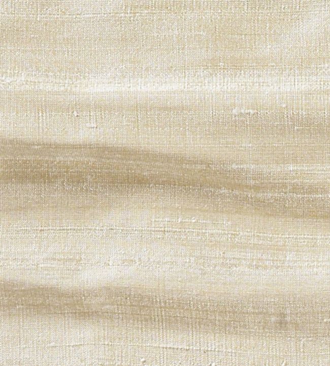Orissa Silk Fabric by James Hare Cream