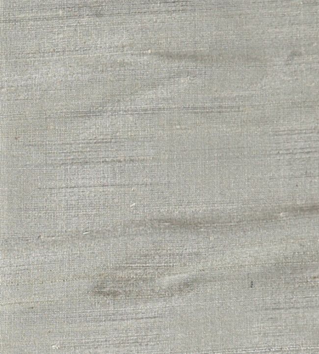 Orissa Silk Fabric by James Hare Silver Birch