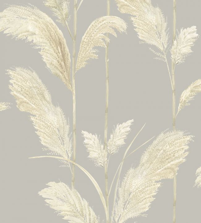 Pampas Grass Wallpaper by Brand McKenzie Neutral Grey