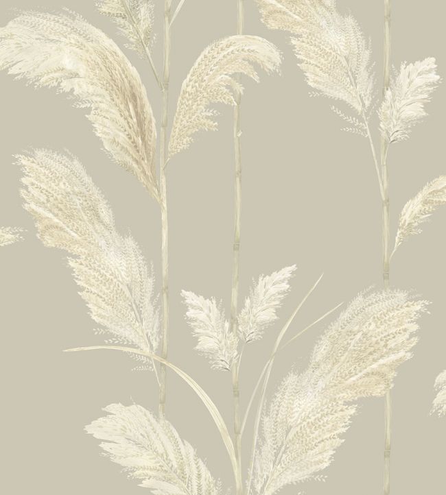 Pampas Grass Wallpaper by Brand McKenzie Oatmeal