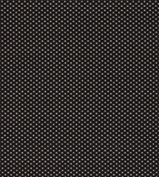 Pavo Fabric by Clarke & Clarke Noir
