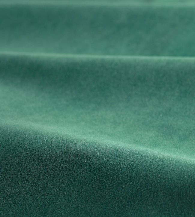Performance Velvet Fabric by Harlequin Bay