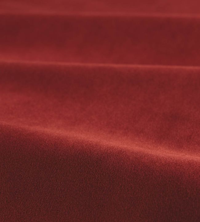 Performance Velvet Fabric by Harlequin Harissa