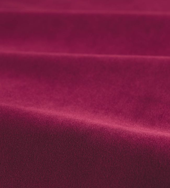 Performance Velvet Fabric by Harlequin Magenta