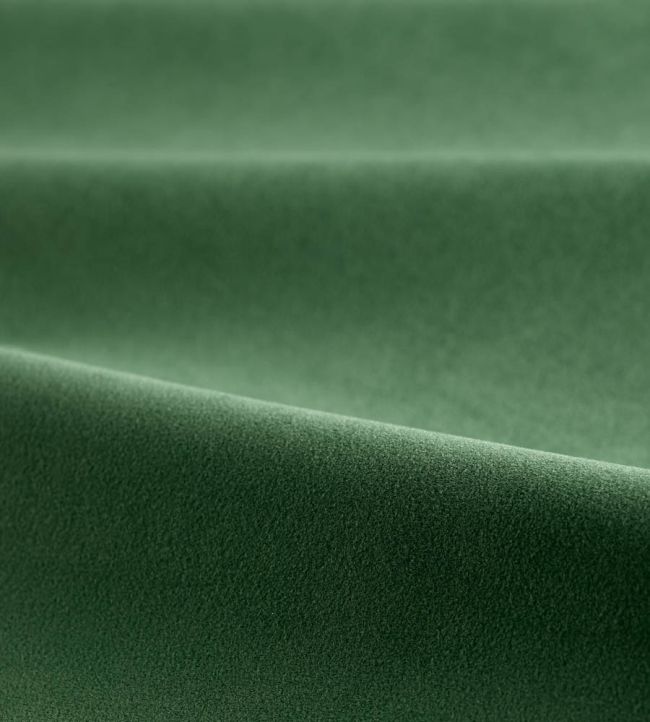 Performance Velvet Fabric by Harlequin Pine