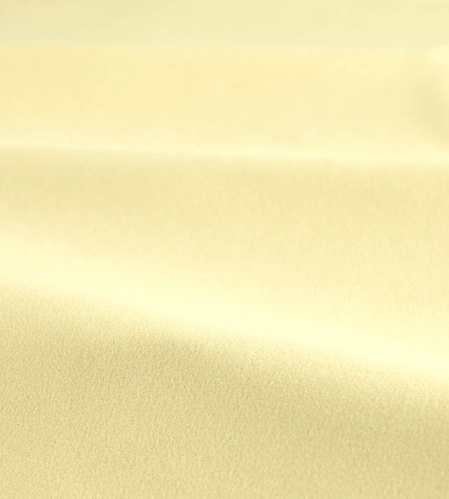 Performance Velvet Fabric by Harlequin Raffia
