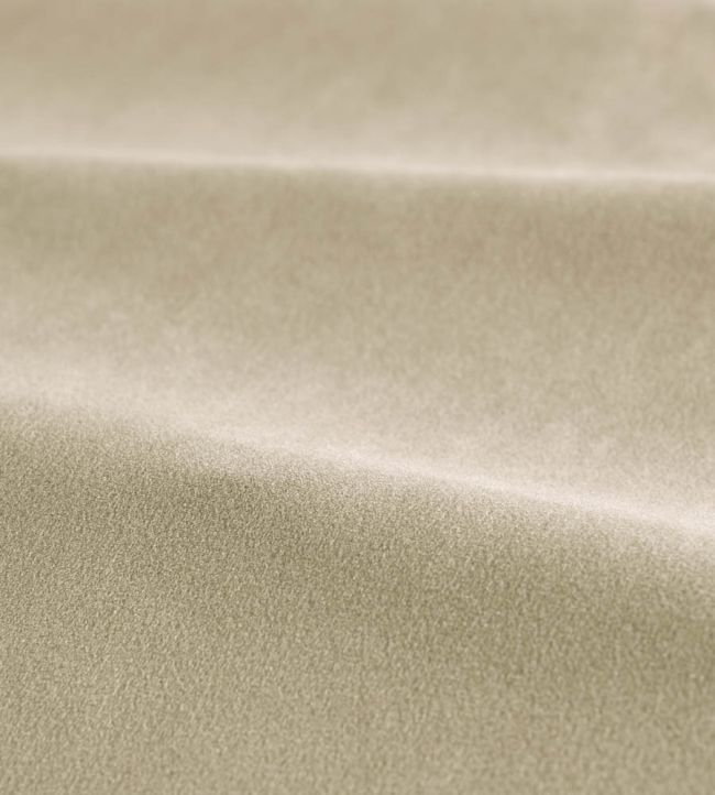 Performance Velvet Fabric by Harlequin Taupe