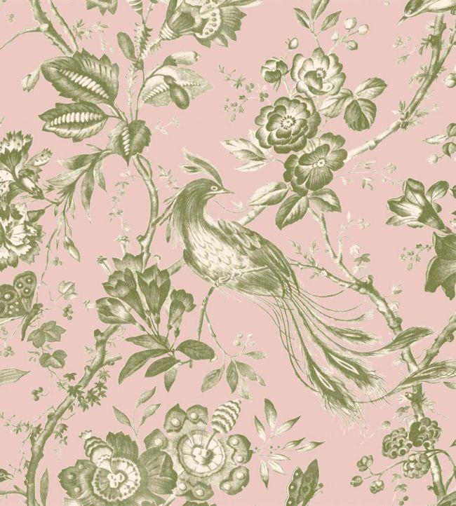 Plumage Mural by Woodchip & Magnolia Plaster Pink/Cream
