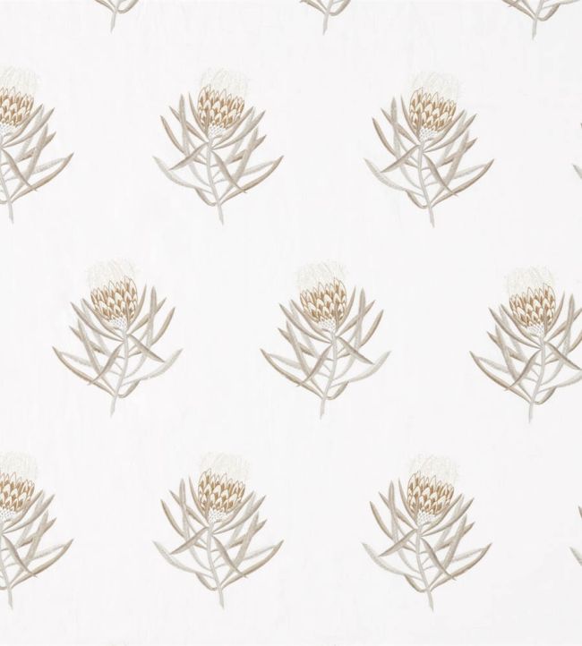 Protea Flower Fabric by Sanderson Gold