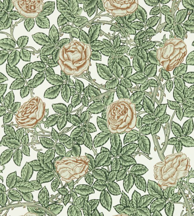 Rambling Rose Wallpaper by Morris & Co Leafy Arbour/Pearwood