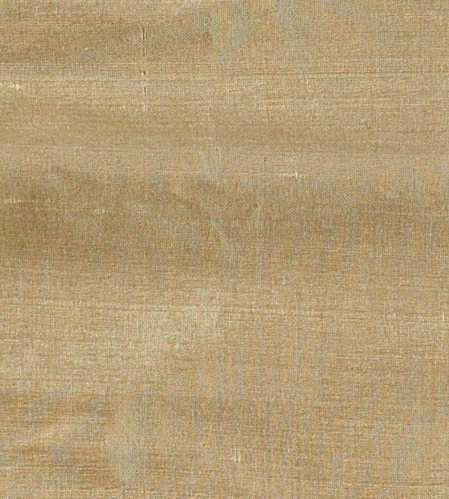 Regal Silk Fabric in Muscatelle by James Hare | Jane Clayton