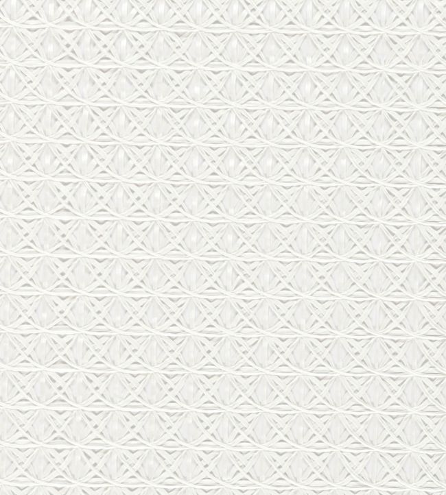 Ribbon Fabric by Harlequin Chalk