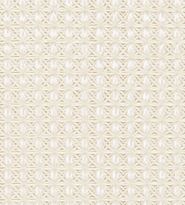Ribbon Fabric by Harlequin Linen