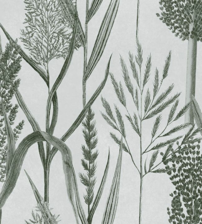 Riverside Flora Wallpaper in Offwhite by MINDTHEGAP | Jane Clayton