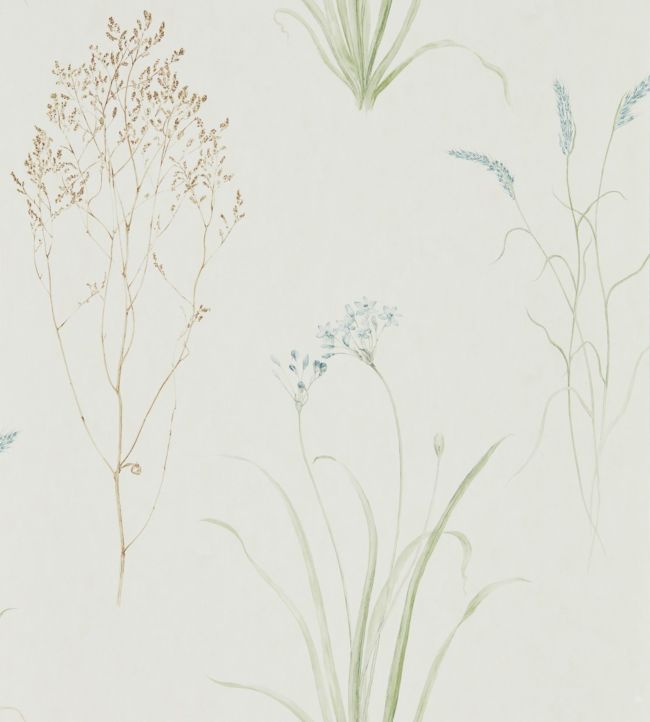 Farne Grasses Wallpaper by Sanderson Cream/Sage