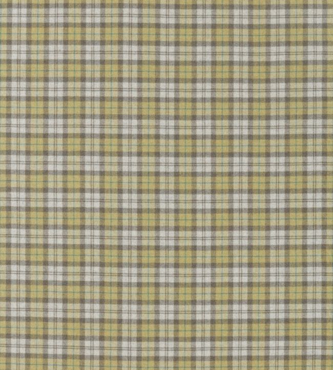 Fenton Check Fabric by Sanderson Check Caraway / Green
