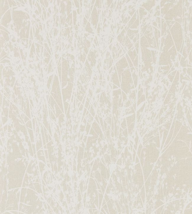 Meadow Canvas Wallpaper by Sanderson White/Parchment