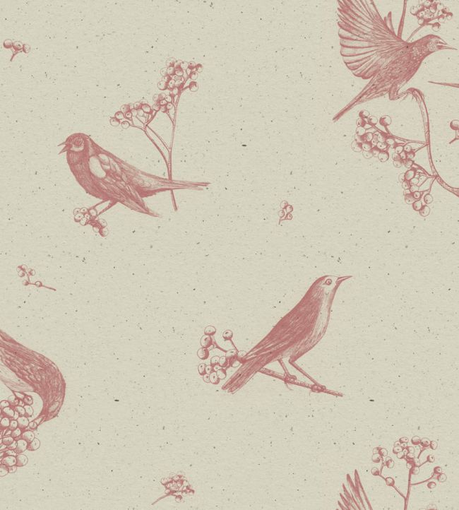 Sweet Birds Wallpaper by Coordonne Papirus
