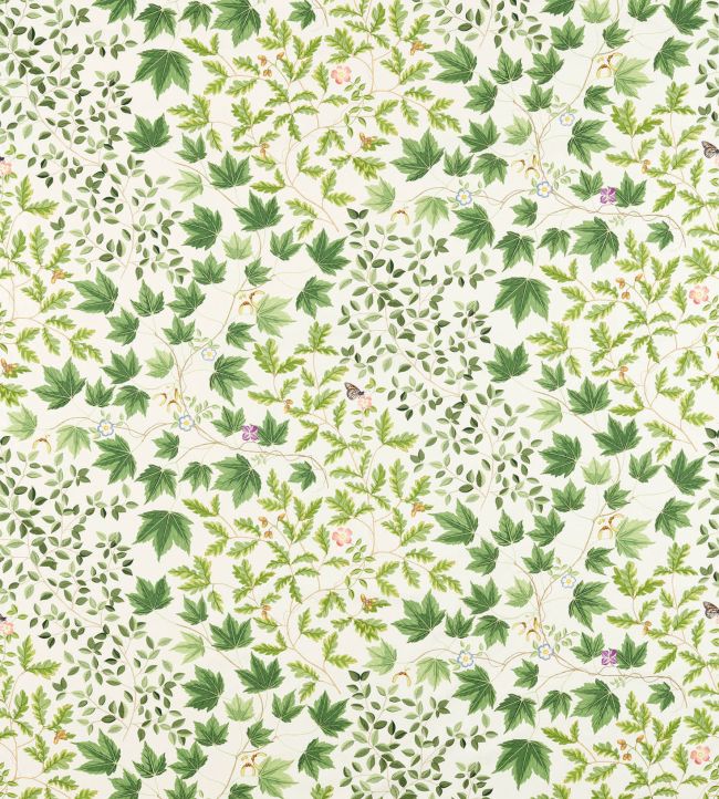 Sycamore & Oak Fabric by Sanderson Botanical Green