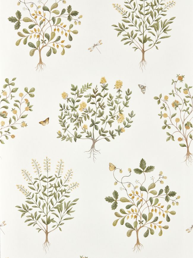 Thyme Walk Wallpaper by Sanderson Lichen/Gooseberry