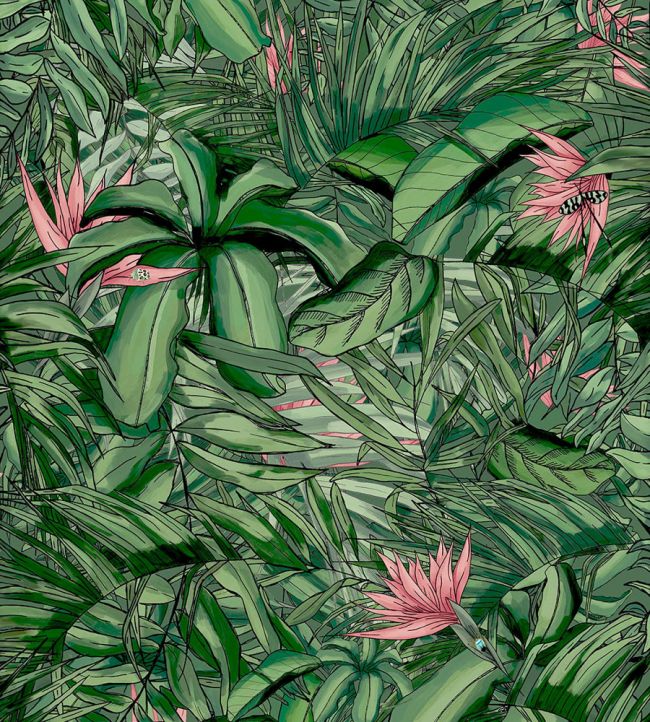 Tropical Forest Wallpaper by Brand McKenzie Dark Green / Pink