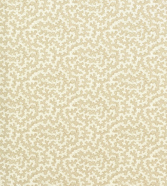Truffle Outdoor Fabric by Sanderson Sand Dollar