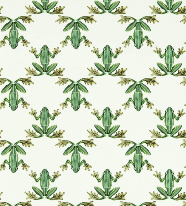 Wood Frog Wallpaper by Harlequin Forest / Chalk