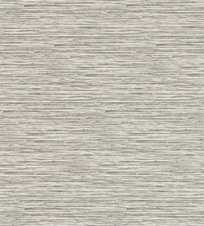 Xan Wallpaper by Clarke & Clarke Dove