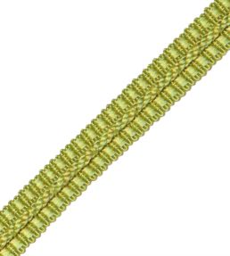 1/2" Le Jardin Silk Gimp Trimming by Samuel & Sons Chartreuse