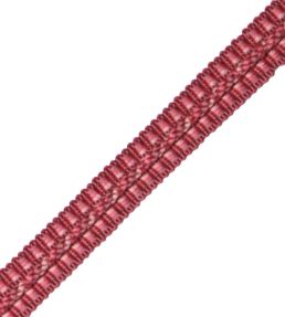 1/2" Le Jardin Silk Gimp Trimming by Samuel & Sons Coral