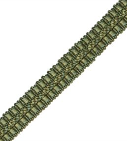 1/2" Le Jardin Silk Gimp Trimming by Samuel & Sons Moss