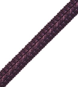 1/2" Le Jardin Silk Gimp Trimming by Samuel & Sons Mulberry