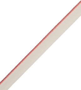 2.5mm Cambridge Cord With Tape Trimming by Samuel & Sons Coral