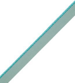 2.5mm Cambridge Cord With Tape Trimming by Samuel & Sons Pool