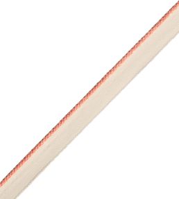 2.5mm Cambridge Cord With Tape Trimming by Samuel & Sons Shrimp