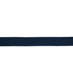 25mm Francoise Border Trimming by Samuel & sons Lapis